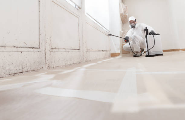 24/7 Emergency Black Mold Remediation experts in Red Lion, PA